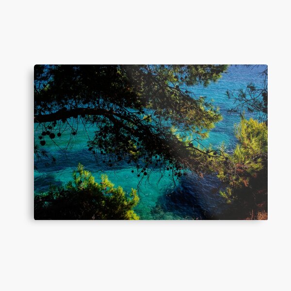 Mediterranean Sea and Pine Trees Metal Print