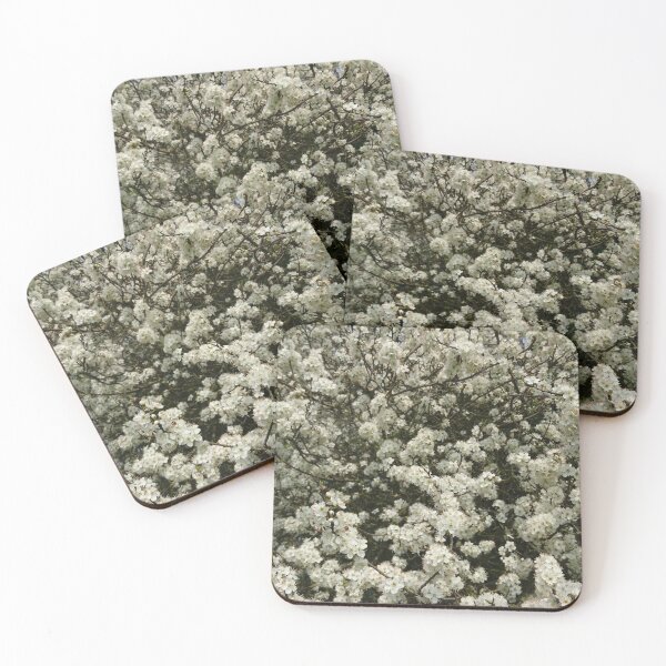 Item preview, Blackthorn in flower (vertical)  designed and sold by paulboizot.