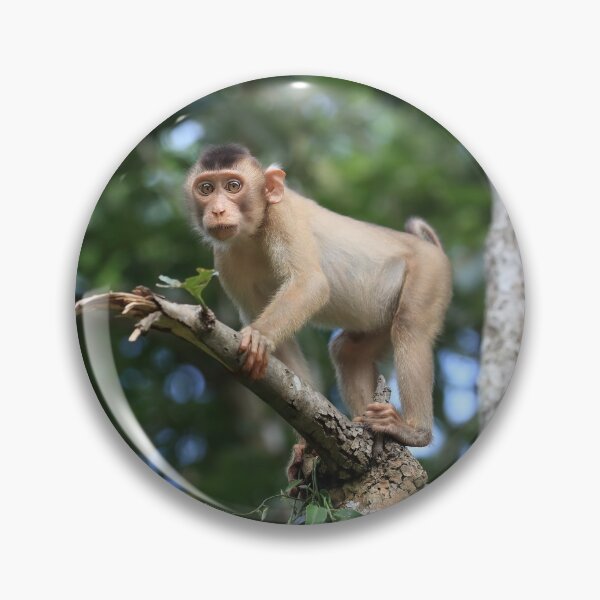 Item preview, Macaque designed and sold by mlorenz.