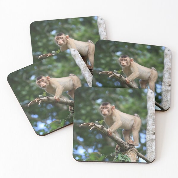 Item preview, Macaque designed and sold by mlorenz.