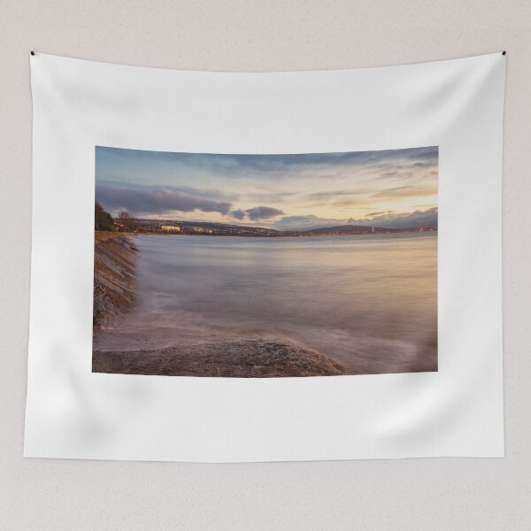 Item preview, Swansea Bay from West Cross designed and sold by Dan Santillo.