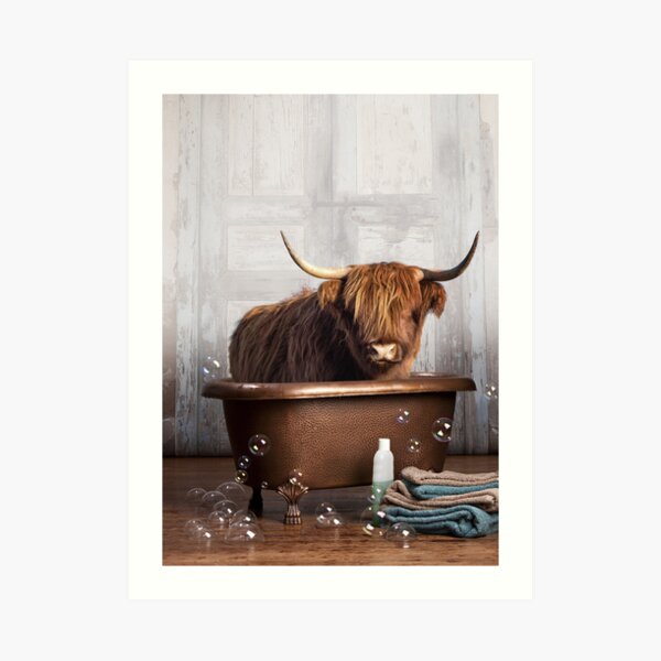 Highland Cow Art Print