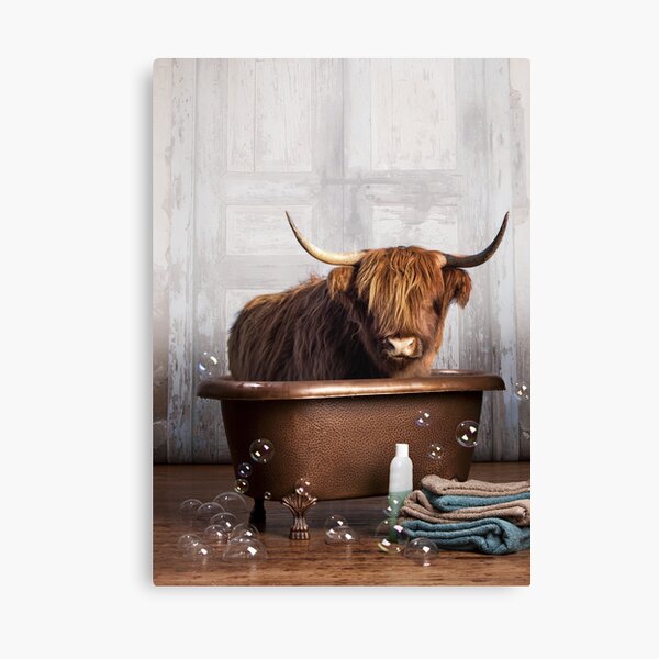 Highland Cow Canvas Print