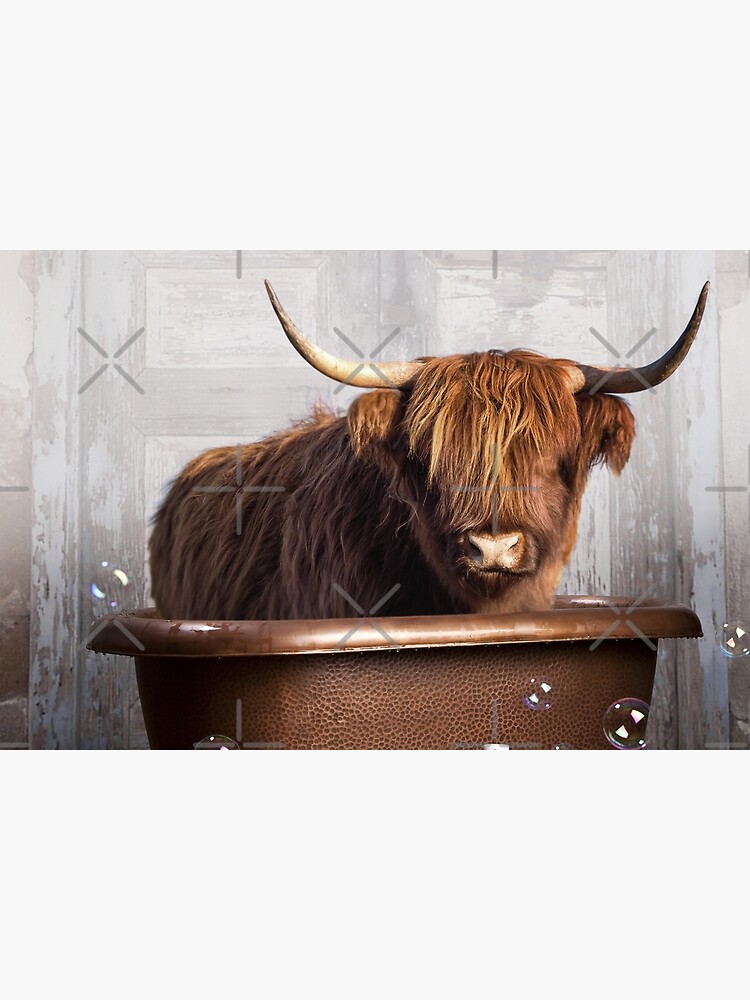 Highland Cow by snoopdoggydom