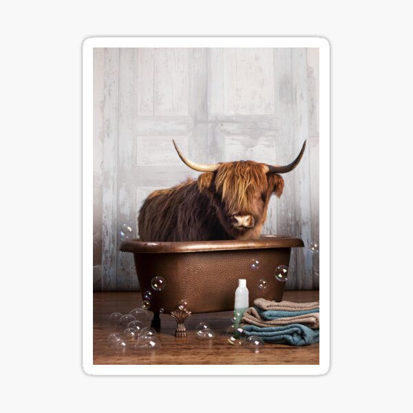 Highland Cow Sticker