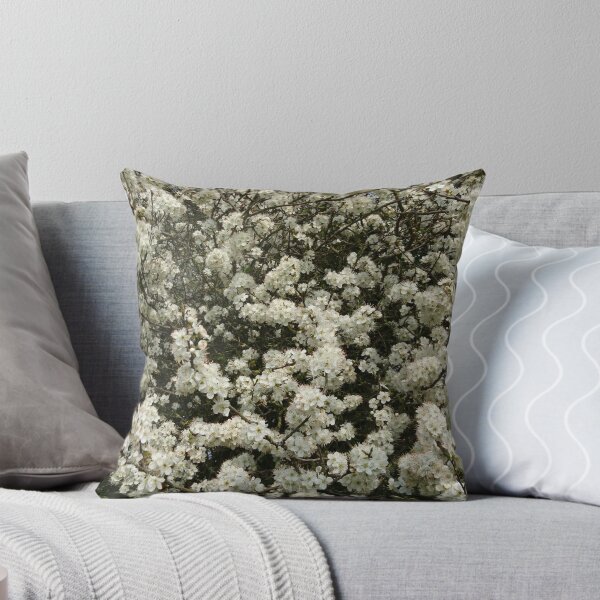 Item preview, Blackthorn in flower (horizontal)  designed and sold by paulboizot.