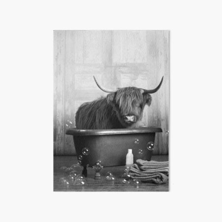 Highland Cow in the Bathtub Art Board Print