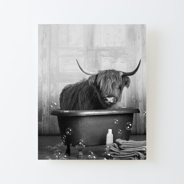 Highland Cow in the Bathtub Canvas Mounted Print