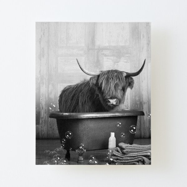 Highland Cow in the Bathtub Canvas Mounted Print