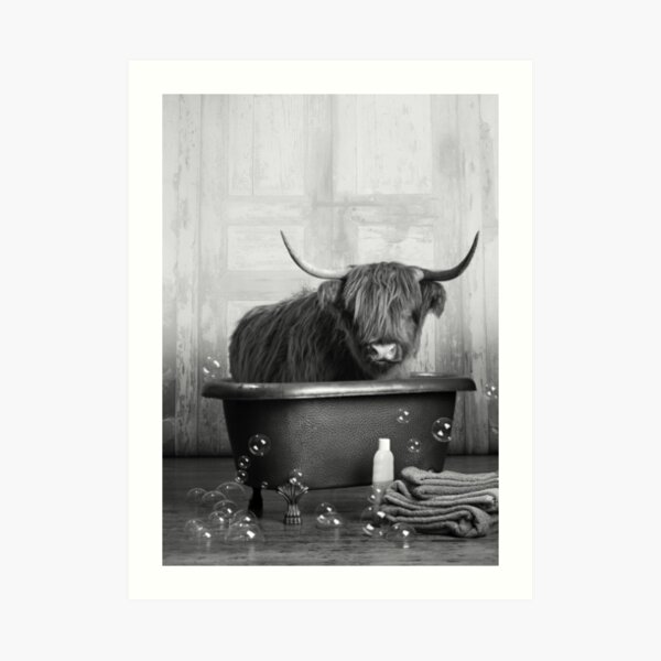 Highland Cow in the Bathtub Art Print