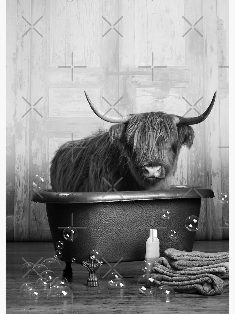 "Highland Cow in the Bathtub" Poster by snoopdoggydom Redbubble