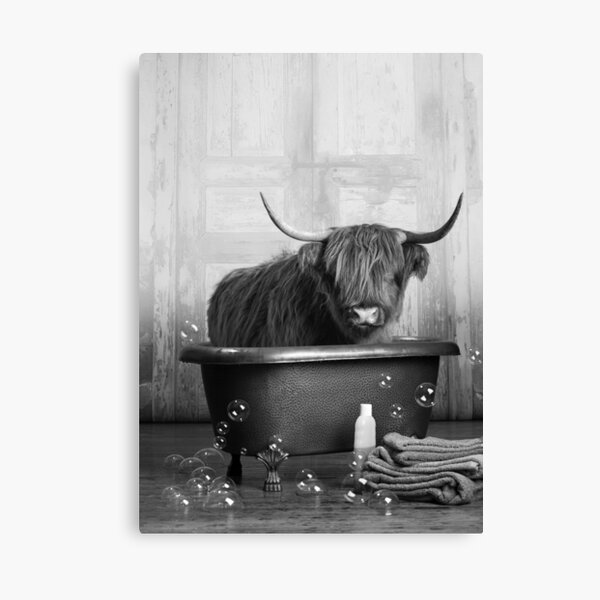 Highland Cow in the Bathtub Canvas Print
