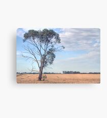 farmlands Canvas Print