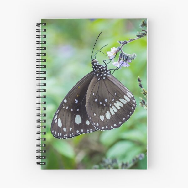 Item preview, Flutterby designed and sold by Keith's Photo Artistry.
