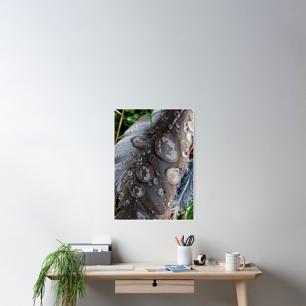 After the Rain Poster