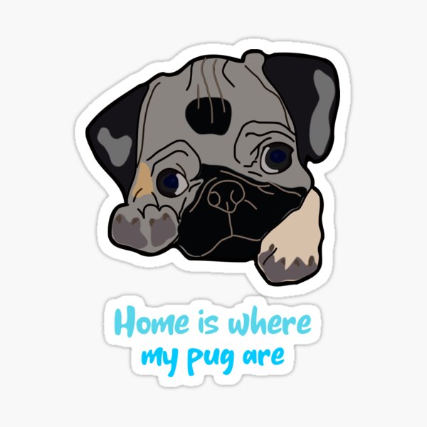 Home is where my pug are Sticker