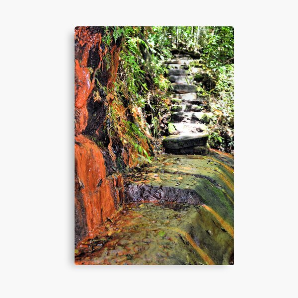 Item preview, Narrow Escape designed and sold by Robyn Forbes.