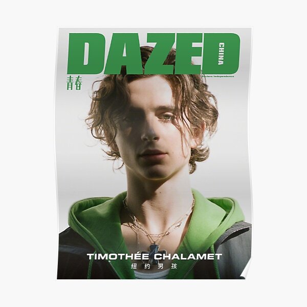 Timothée Chalamet DAZED poster Poster