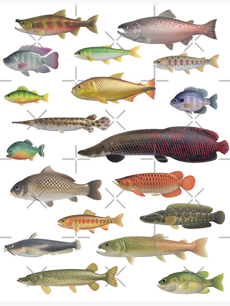 Freshwater Fish Print from Critterpedia Photographic Print for Sale by  Stuck at Home