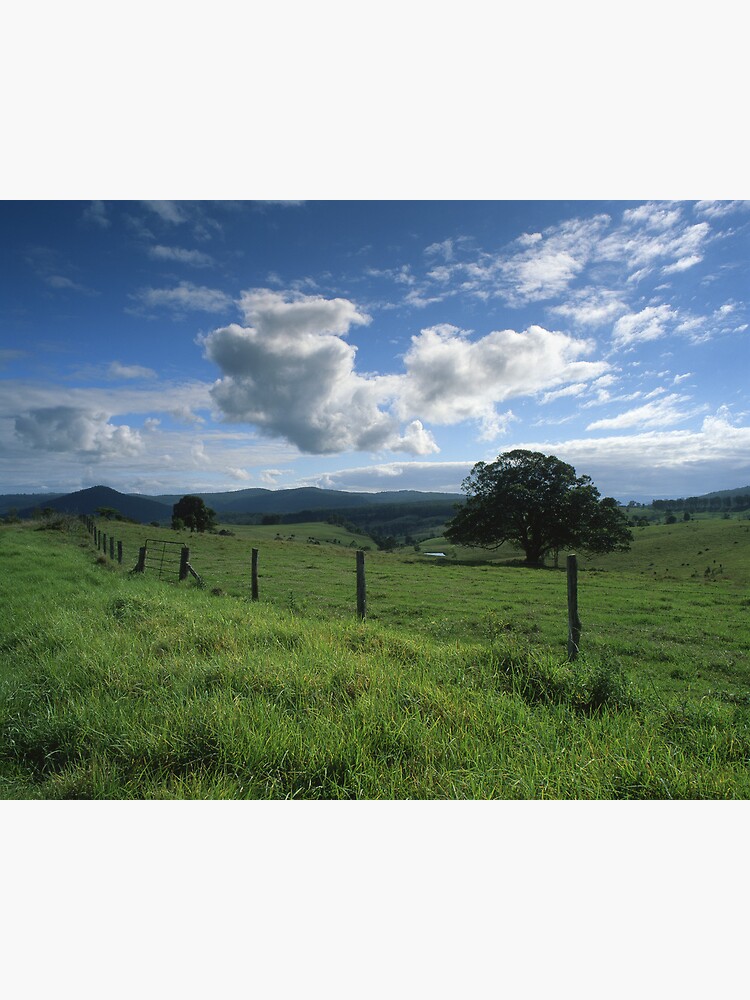 "Living the Dream" ∞ Mount Barney, QLD - Australia by oosh