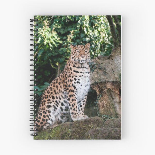 Item preview, Amur Leopard Photography  designed and sold by NatashaBalletta.
