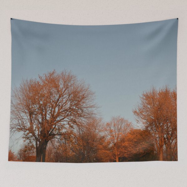 Item preview, Sun shining on red autumn trees designed and sold by wjrtapp.