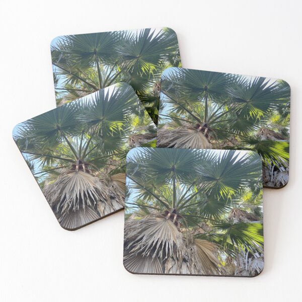 Item preview, Palm trees designed and sold by Angeline303.