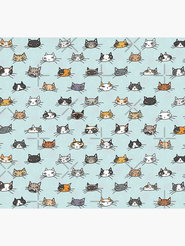Cats crowd. That's all it is about by runcatrun
