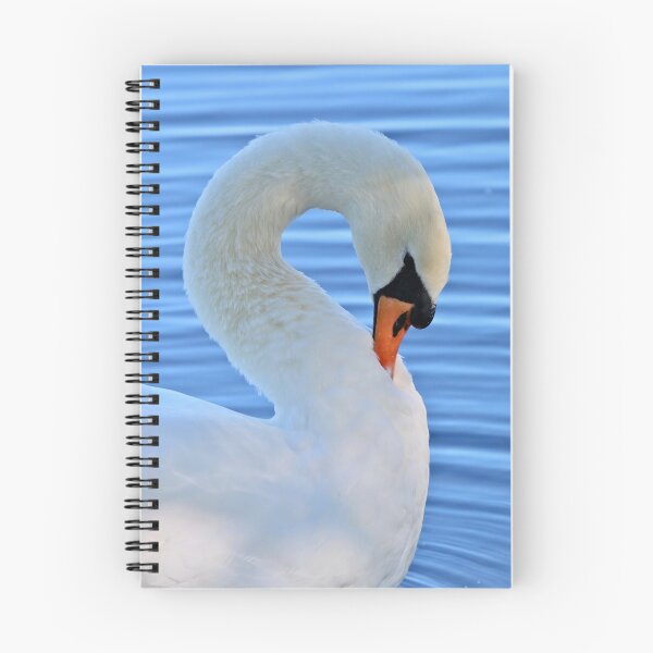 Item preview, An elegant swan in a graceful curve! designed and sold by jmwilesphotos.