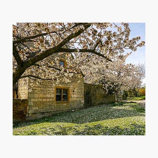 Cotswold Springtime Photographic Print