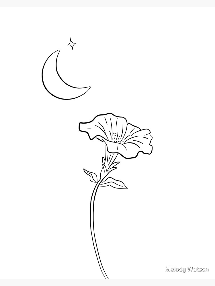 Flowers line drawing png images | PNGWing
