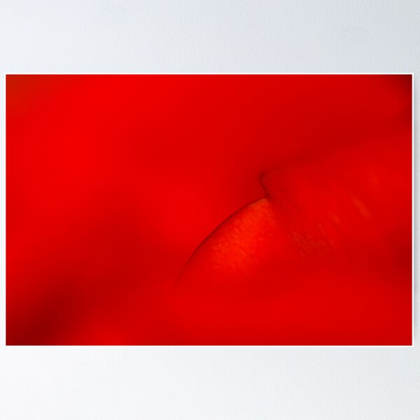 Item preview, The Rose - Part 4 designed and sold by Ronny Falkenstein.