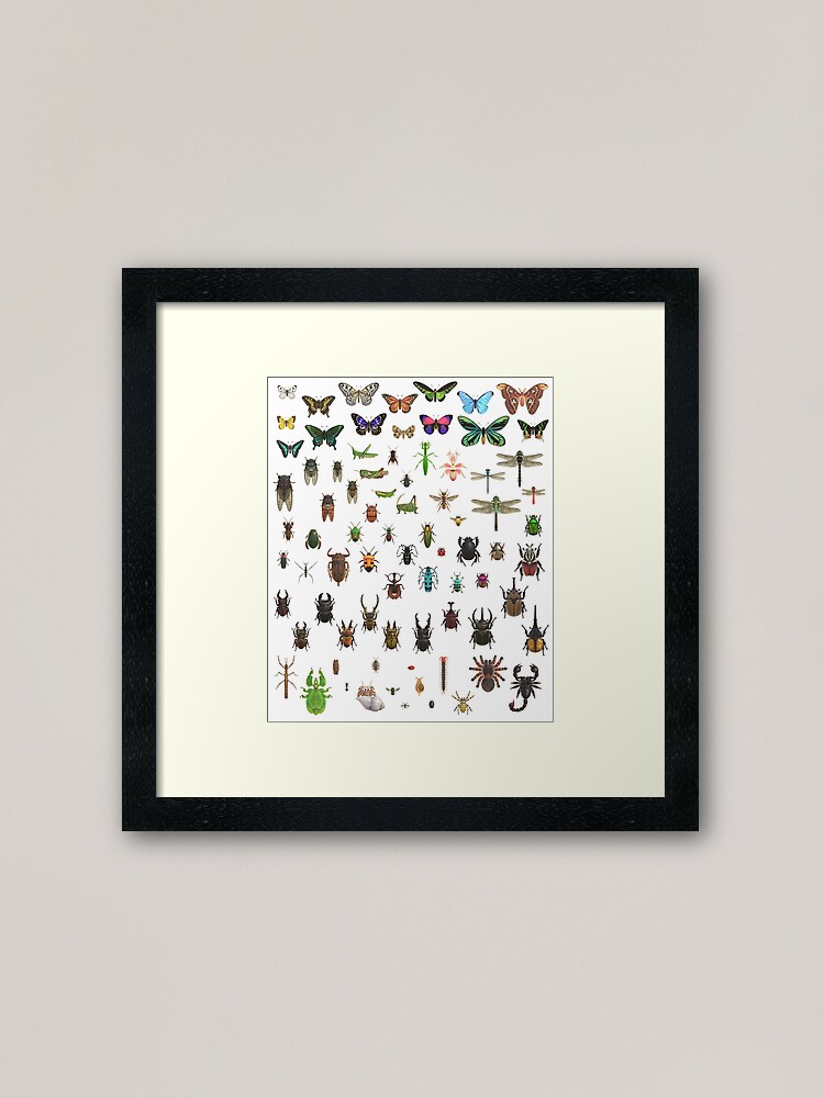 BUGS N' STUFF Critterpedia Complete Taxonomy &quot; Framed Art Print 