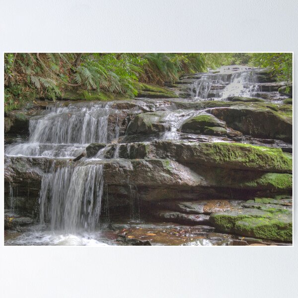 Item preview, Leura Cascades, Blue Mountains, NSW, Australia designed and sold by Adrian Paul.