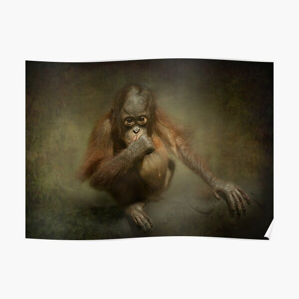 Contemplation.. Poster
