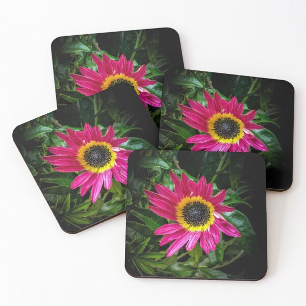 Item preview, African Daisy designed and sold by Capuletdesigns.