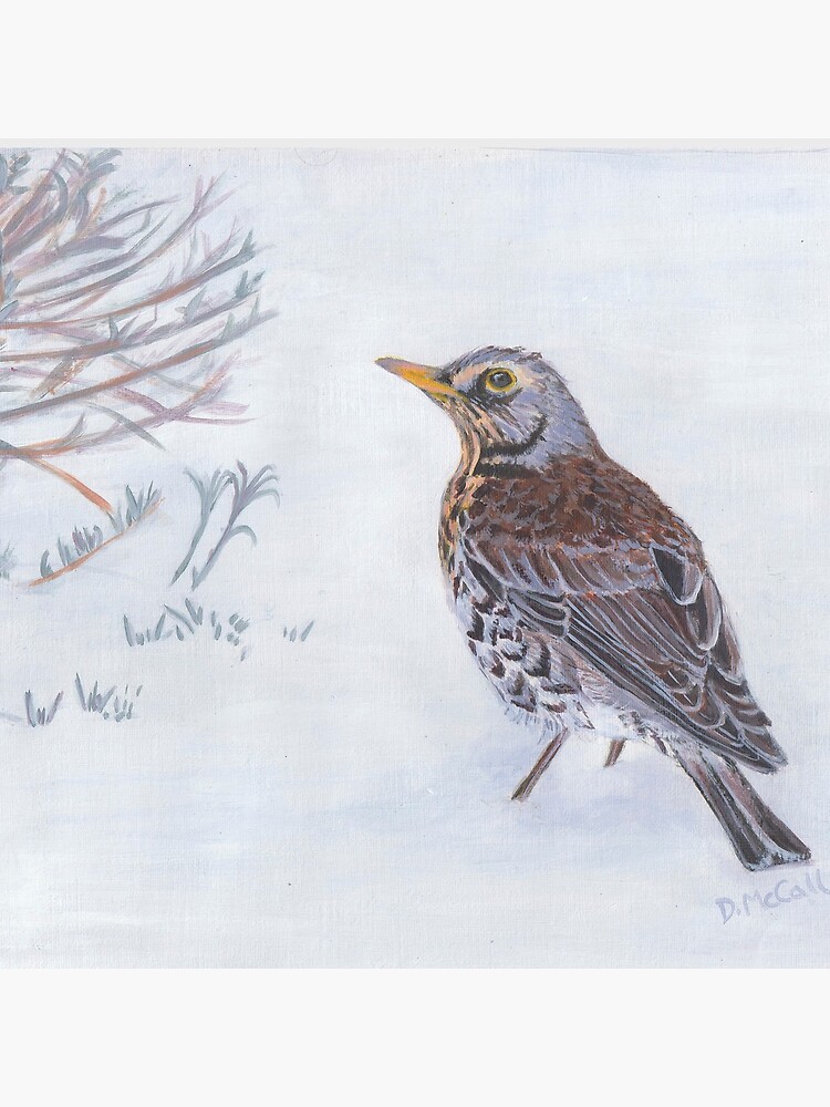 Fieldfare in the Snow by DawnsArt92