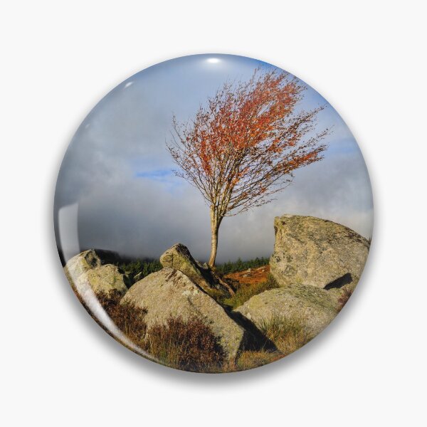 Item preview, Tree On The Rocks designed and sold by Derek Smyth.