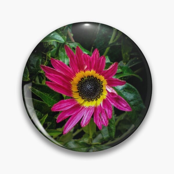 Item preview, African Daisy designed and sold by Capuletdesigns.
