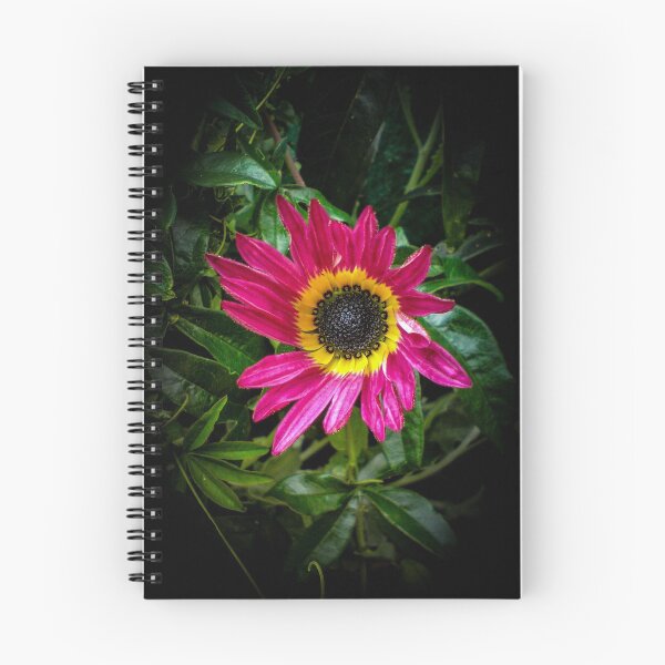 Item preview, African Daisy designed and sold by Capuletdesigns.