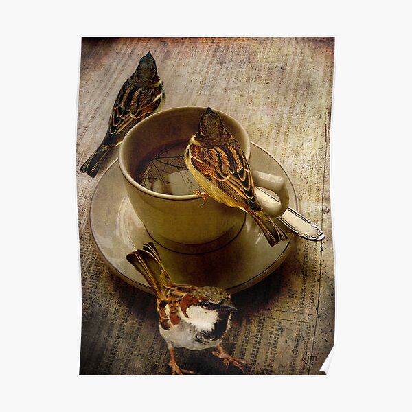 Cold Coffee Poster