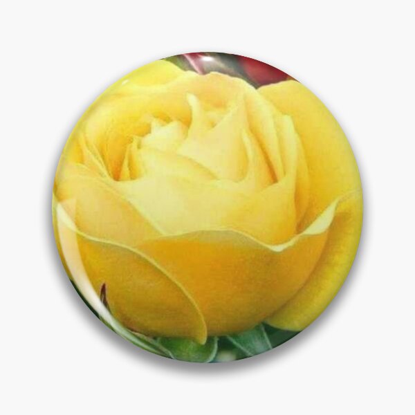 Item preview, Boquet roses designed and sold by dplachkinova.