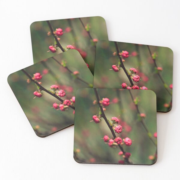 Aperçu de l'œuvre Fleurs de printemps colorées dans le jardin créée et vendue par olena2552.