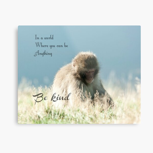 In world where you can be anything be kind quote photography Metal Print