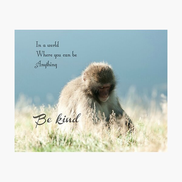In world where you can be anything be kind quote photography Photographic Print
