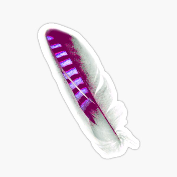Jay feathers on purple pattern Sticker