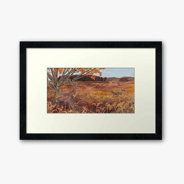 Red Deer at Bradgate Park Framed Art Print