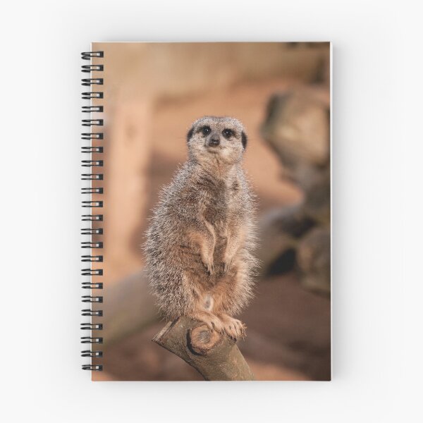 Item preview, Meerkat Portrait Photography  designed and sold by NatashaBalletta.