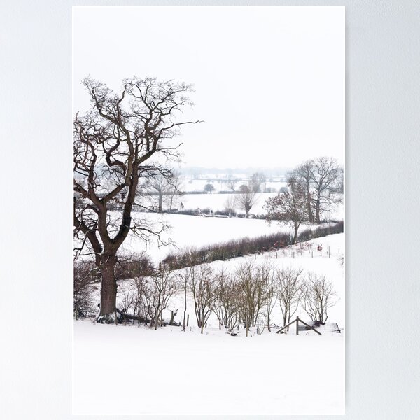 Snow covered fields, Buckinghamshire Poster