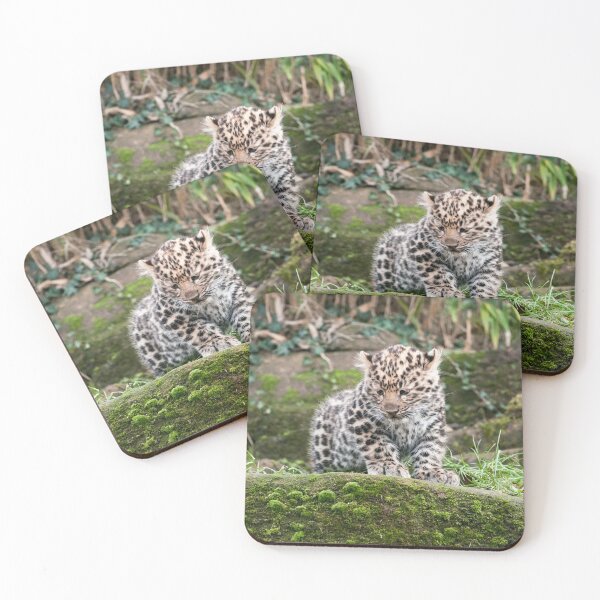 Item preview, Amur Leopard Photography designed and sold by NatashaBalletta.